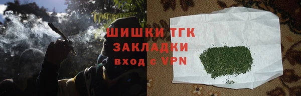 хмурый Нея