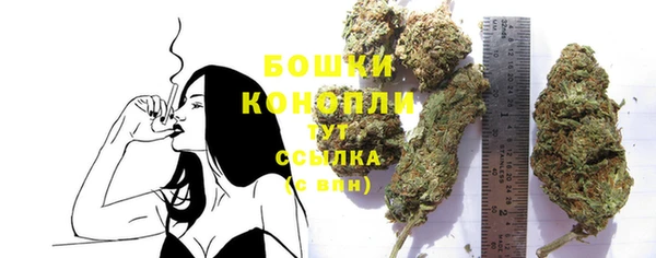 хмурый Нея