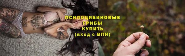 mdma Новодвинск