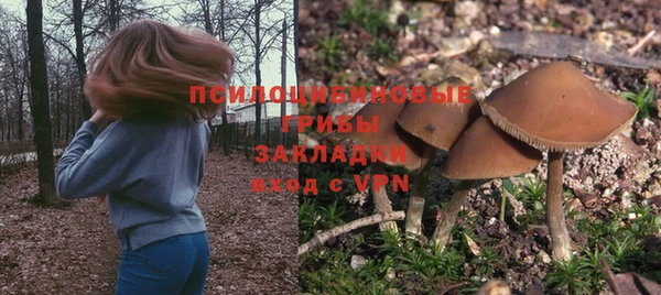 винт Новокубанск