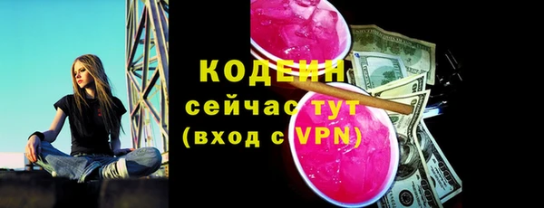 хмурый Нея
