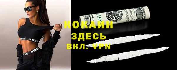 соль ск Новозыбков