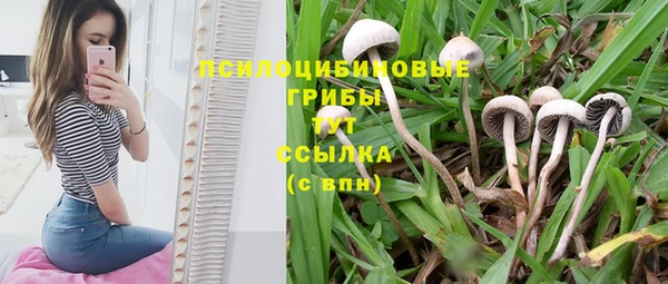 mdma Новодвинск