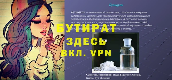 соль ск Новозыбков
