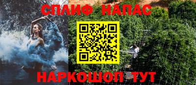 a pvp Дубна
