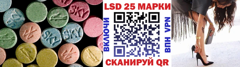 kraken вход  Курчалой  ЛСД экстази ecstasy 