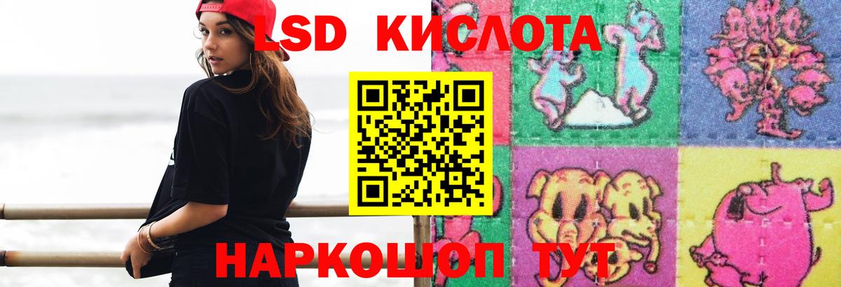 Курчалой  ЛСД экстази кислота  блэк спрут рабочий сайт  Вход с VPN  ЛСД экстази ecstasy 
