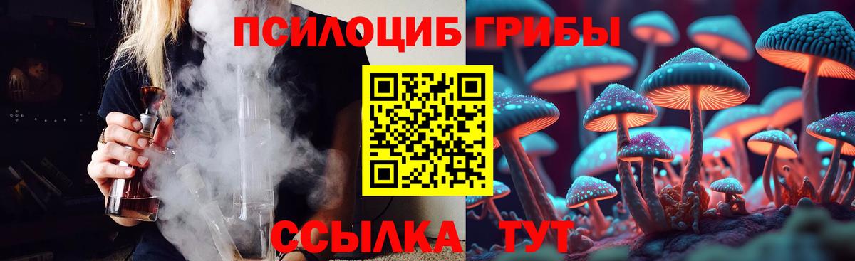 Псилоцибиновые грибы GOLDEN TEACHER  Вход с VPN  Псилоцибиновые грибы прущие грибы  Курчалой 